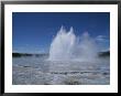 Great Fountain Geyser Seen From Firehole Lake Drive by Norbert Rosing Limited Edition Print