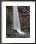 Svartifoss Waterfall With Basalt Columns In Skaftafell National Park, South Area, Iceland by Neale Clarke Limited Edition Print