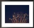 Fireworks Celebrating The 4Th Of July, Miami, Florida, Usa by Angelo Cavalli Limited Edition Pricing Art Print