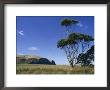 Hickory Bay, Banks Peninsula, Canterbury, South Island, New Zealand by Ken Gillham Limited Edition Print