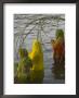 Three Women Pilgrims In Saris Making Puja Celebration In The Pichola Lake At Sunset, Udaipur, India by Eitan Simanor Limited Edition Print
