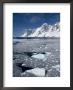 Lemaire Channel, Weddell Sea, Antarctic Peninsula, Antarctica, Polar Regions by Thorsten Milse Limited Edition Print