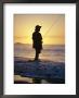 Fishing From The Beach At Sunrise, Australia by D H Webster Limited Edition Print