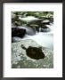 Pool And Lichen-Covered Boulder, Gt Smoky Mtns National Park, Tn by Willard Clay Limited Edition Pricing Art Print