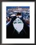Fishing Boats In Harbour, Rovinj, Croatia by Damien Simonis Limited Edition Pricing Art Print