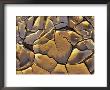 Mud Cracks, Death Valley National Park, California, Usa by Chuck Haney Limited Edition Print