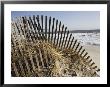 A Sand Fence Used To Control Dune Erosion by Stephen St. John Limited Edition Print