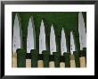 Display Case In An Aritsugu Shop Contains A Variety Of Well-Honed Knives, Japan by James L. Stanfield Limited Edition Print
