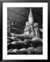 Dust Covered Wine And Brandy Bottles Lying On Racks In A Wine Cellar by Nina Leen Limited Edition Print