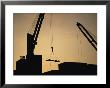 Silhouette Of Cranes And Workers At The Port Of Antofagasta by Joel Sartore Limited Edition Pricing Art Print