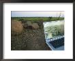 Laptop Computer In The Veld, Northern Tuli Game Reserve, Botswana by Roger De La Harpe Limited Edition Print