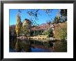 View Of Mt. Whitney Fish Hatchery, Ca by Tony Freeman Limited Edition Print