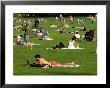 Lawn Scene, Central Park, New York City, New York by Dan Herrick Limited Edition Pricing Art Print