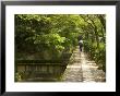 Man Walking The Path Of Philosophy, Kyoto, Kinki, Japan by Greg Elms Limited Edition Pricing Art Print