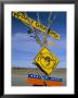 Restaurant Sign For Feral Food, Outback, South Australia, Australia by Steve & Ann Toon Limited Edition Print