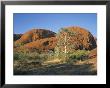 Unusual Weathered Rock Formation, The Olgas, Northern Territory, Australia by Ken Wilson Limited Edition Print