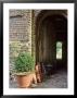 View Through Barn Doorway Buxus In Container Small Pots, Rake by Sunniva Harte Limited Edition Pricing Art Print