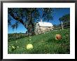 Barn In Windham, Vt by Mark Hunt Limited Edition Print