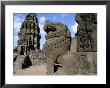 Stone Lion, Candi Apit, Candi Shiva Mahadeva Complex, Unesco World Heritage Site by Jane Sweeney Limited Edition Print