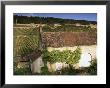 Old House And Vineyards, Bourgogne (Burgundy), France by John Miller Limited Edition Pricing Art Print
