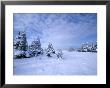 Winter Landscape, Hudson Bay, Manitoba, Canada by Thorsten Milse Limited Edition Print