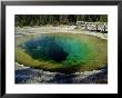 Morning Glory Spring, Yellowstone National Park, Unesco World Heritage Site, Usa by Roy Rainford Limited Edition Print