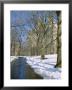 Bare Trees And Snow In Winter In Central Park, Manhattan, New York City, Usa by David Lomax Limited Edition Print