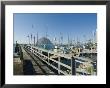 Morro Bay, California, Usa by Ethel Davies Limited Edition Pricing Art Print