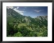 Naranjo De Bulnes, Picos De Europa, Near Arenas De Cabrales, Cantabria, Spain by Michael Busselle Limited Edition Print