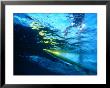 Surfer From Underwater At Motu Hava, Hanga Roa, Easter Island, Valparaiso, Chile by Paul Kennedy Limited Edition Print
