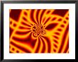 Abstract Yellow And Red Fractal Design by Albert Klein Limited Edition Print