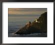 Distant View Of The Heceta Head Lighthouse On The Oregon Coast by Phil Schermeister Limited Edition Print