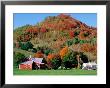 Farm Surrounded By Autumn Foliage, Near St. Johnsbury, St. Johnsbury, Vermont by John Elk Iii Limited Edition Pricing Art Print