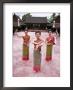 Traditional Thai Dancers, Old Chiang Mai Cultural Centre, Chiang Mai, Thailand, Southeast Asia by Gavin Hellier Limited Edition Print