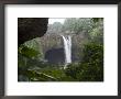 Rainbow Falls, Near Hilo, Island Of Hawaii (Big Island), Hawaii, Usa by Ethel Davies Limited Edition Print