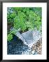 Galvanised Metal Pot Planted With Parsley Set On Chequerboard Of Gravel, Slate And Pebbles by Linda Burgess Limited Edition Print