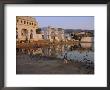 Pushkar, Rajasthan, India by Bruno Morandi Limited Edition Print