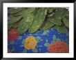 Marketplace, Nopal Cactus Leaves, Oaxaca, Mexico by Judith Haden Limited Edition Print