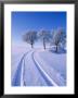 Landscape In Winter by Hans Peter Merten Limited Edition Print