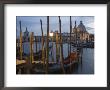Gondolas On Waterfront At Night, Church Basilica, Venice, Unesco World Heritage Site, Veneto, Italy by Christian Kober Limited Edition Print