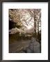 Buddha Statue, Ishiteji Temple, Ehime Prefecture, Japan by Christian Kober Limited Edition Print