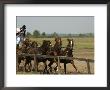 Hungarian Cowboy Horse Show, Bugaci Town, Kiskunsagi National Park, Hungary by Christian Kober Limited Edition Print