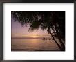 Rangiroa, Tuamotu Archipelago, French Polynesia Islands by Sergio Pitamitz Limited Edition Print