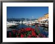View Across The Harbour, Santa Margherita Ligure, Portofino Peninsula, Liguria, Italy by Ruth Tomlinson Limited Edition Print