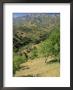 Landscape Near Frigliana, Malaga, Andalucia, Spain by Michael Busselle Limited Edition Print