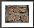 Steaks Ready For A Campfire Grill by Joel Sartore Limited Edition Print