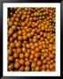 Huge Crates Of Sun-Ripened Oranges At A Florida Fruit Stand by Stephen St. John Limited Edition Pricing Art Print