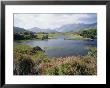 Upper Lake And Macgillycuddy's Reeks, Ring Of Kerry, Killarney, Munster, Republic Of Ireland (Eire) by Roy Rainford Limited Edition Print