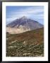 Teide National Park, Mount Teide (Pico De Teide), Tenerife, Canary Islands, Spain by Sergio Pitamitz Limited Edition Print