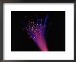 Close-Up Of Fiber Optic Cable by Tim Lynch Limited Edition Print